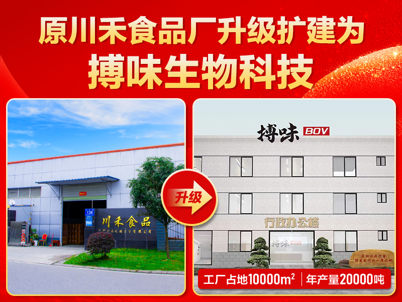  搏味食品廠：火鍋串串底料源頭工廠的戰略新篇